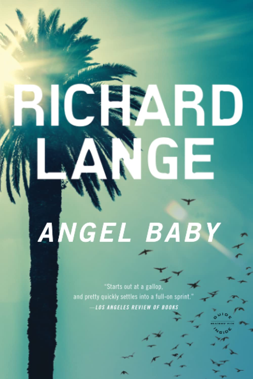 Angel Baby: A Novel