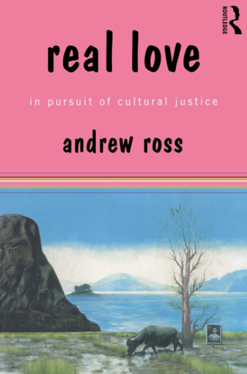 Real Love: In Pursuit of Cultural Justice