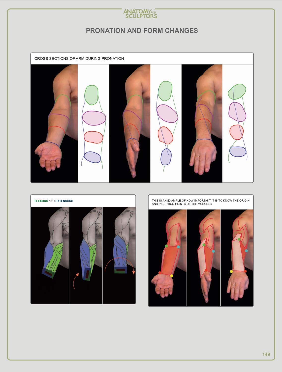 Anatomy For Sculptors, Understanding the Human Figure by Uld