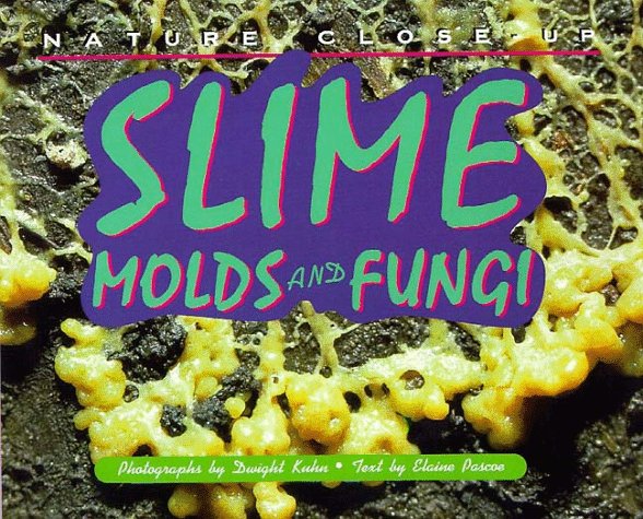 Nature Close-Up - Slime, Mold and Fungi