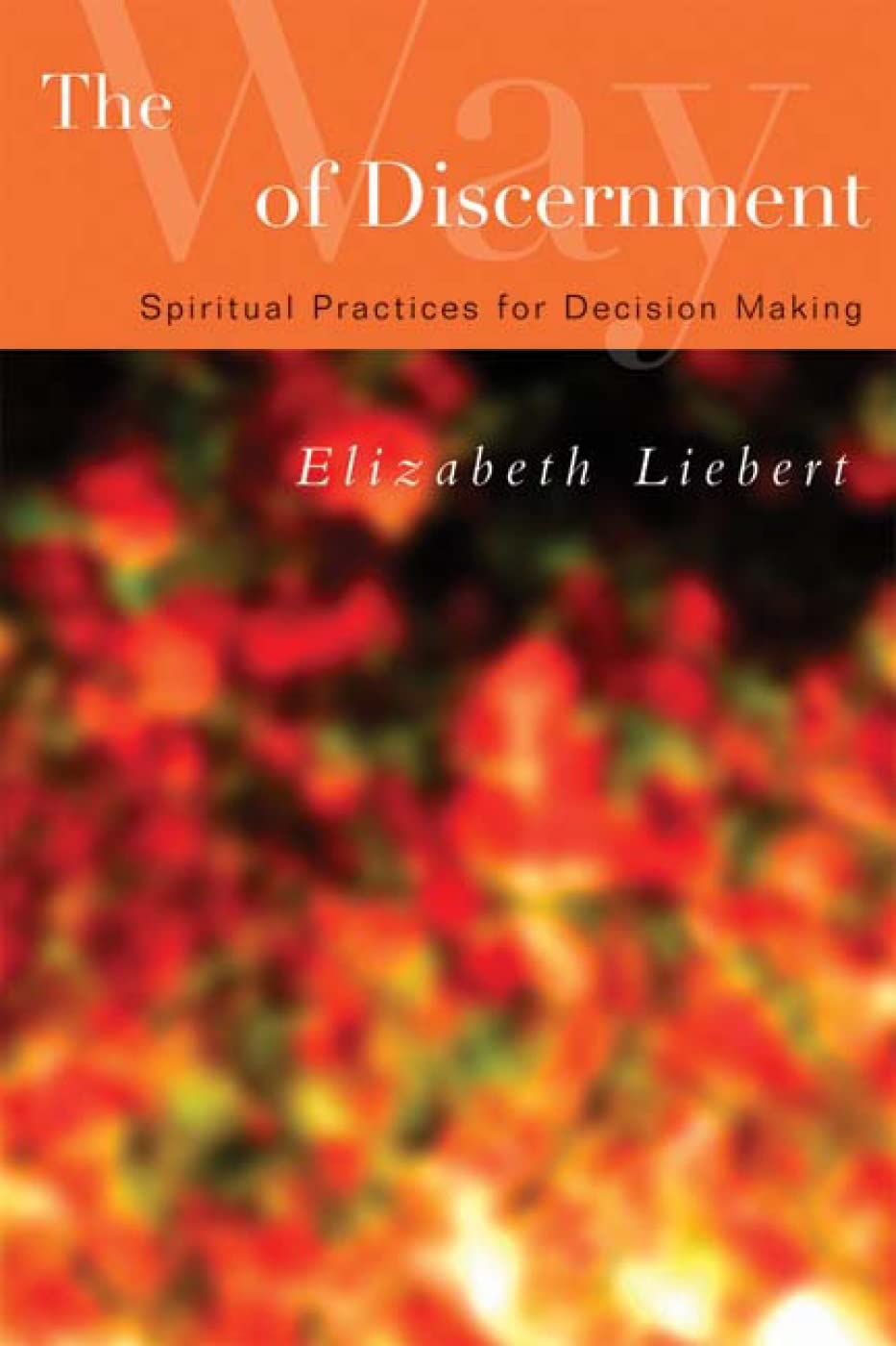 The Way of Discernment: Spiritual Practices for Decision Mak