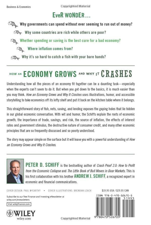 How an Economy Grows and Why It Crashes — back cover