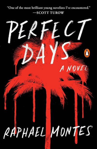 Perfect Days: A Novel by Montes, Raphael