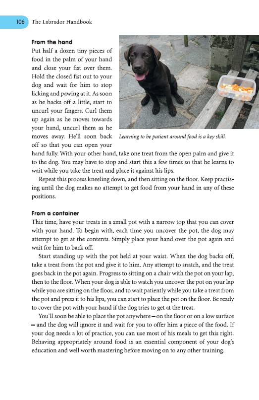 The Labrador Handbook: Your Definitive Guide to Care and Training