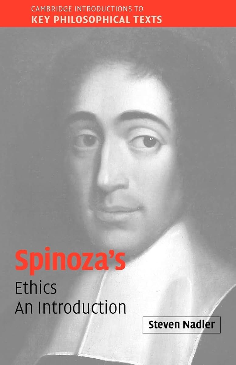 Spinoza's 'Ethics': An Introduction (Cambridge Introductions to Key Philosophical Texts)