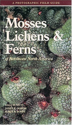 Mosses Lichens & Ferns of Northwest North America by Vitt, D