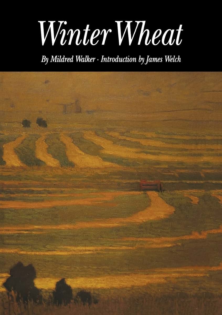 Winter Wheat