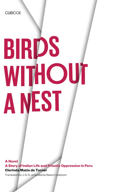 Birds without a Nest: A Novel: A Story of Indian Life and Pr