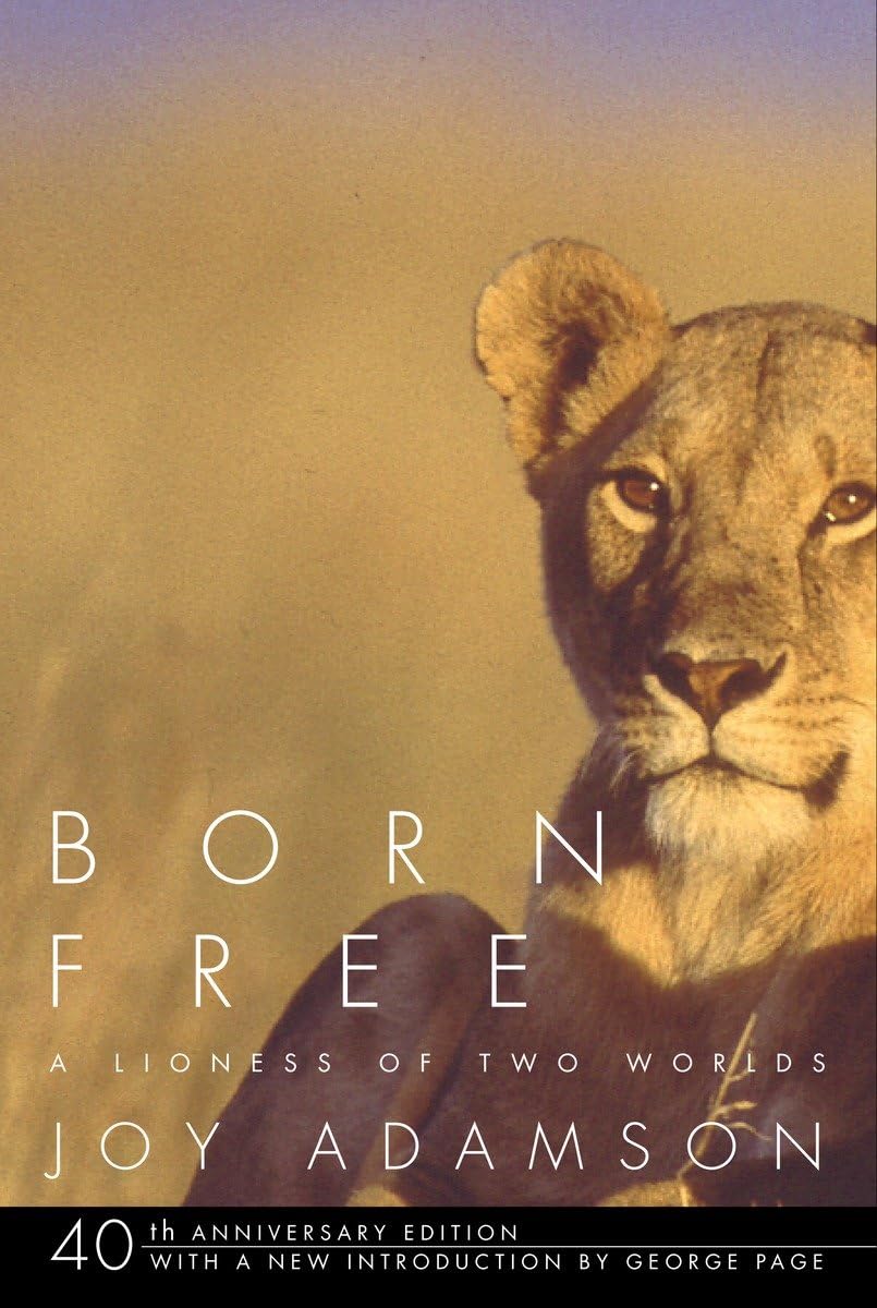 Born Free: A Lioness of Two Worlds