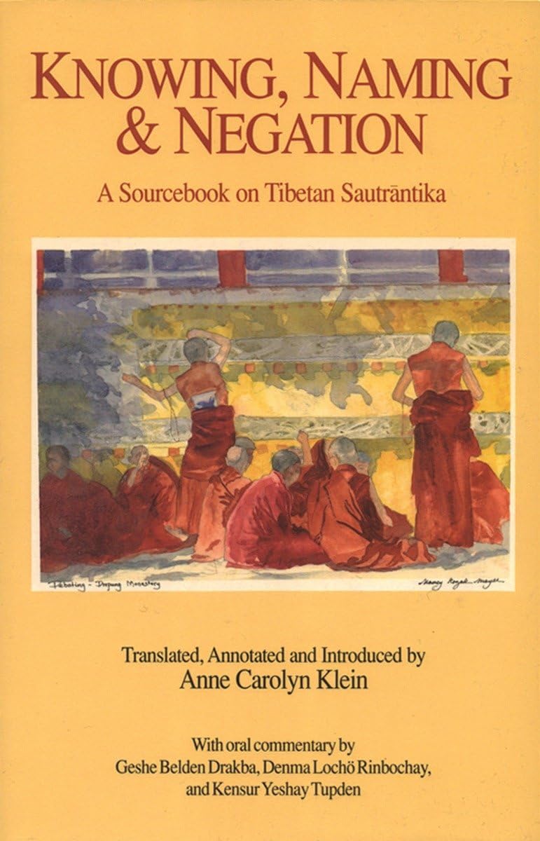 Knowing, Naming, and Negation: A Sourcebook on Tibetan Sautrantika (Translations in Indo-Tibetan Buddhism)