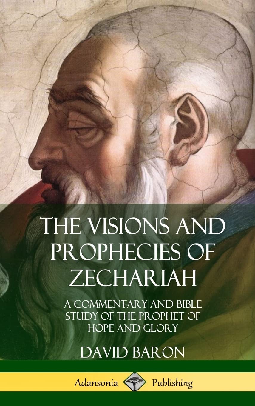 The Visions and Prophecies of Zechariah: A Commentary and Bible Study of the Prophet of Hope and Glory (Hardcover)
