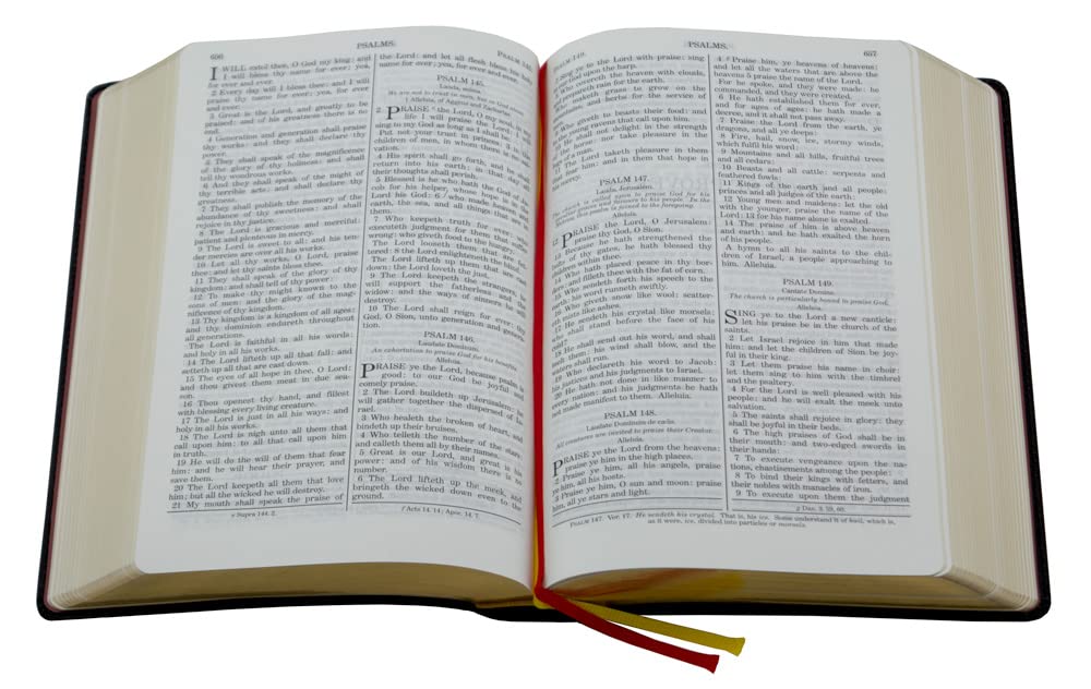 Douay-Rheims Bible {Standard size - Black Flex Cover}