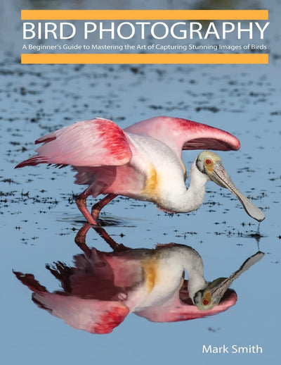 Bird Photography: A Beginners Guide to Mastering the Art of Capturing Stunning Images of Birds