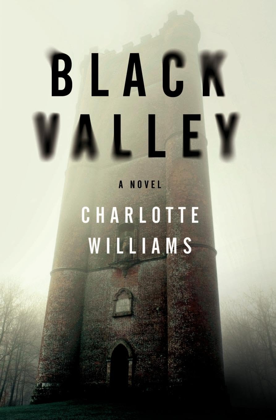 Black Valley: A Novel