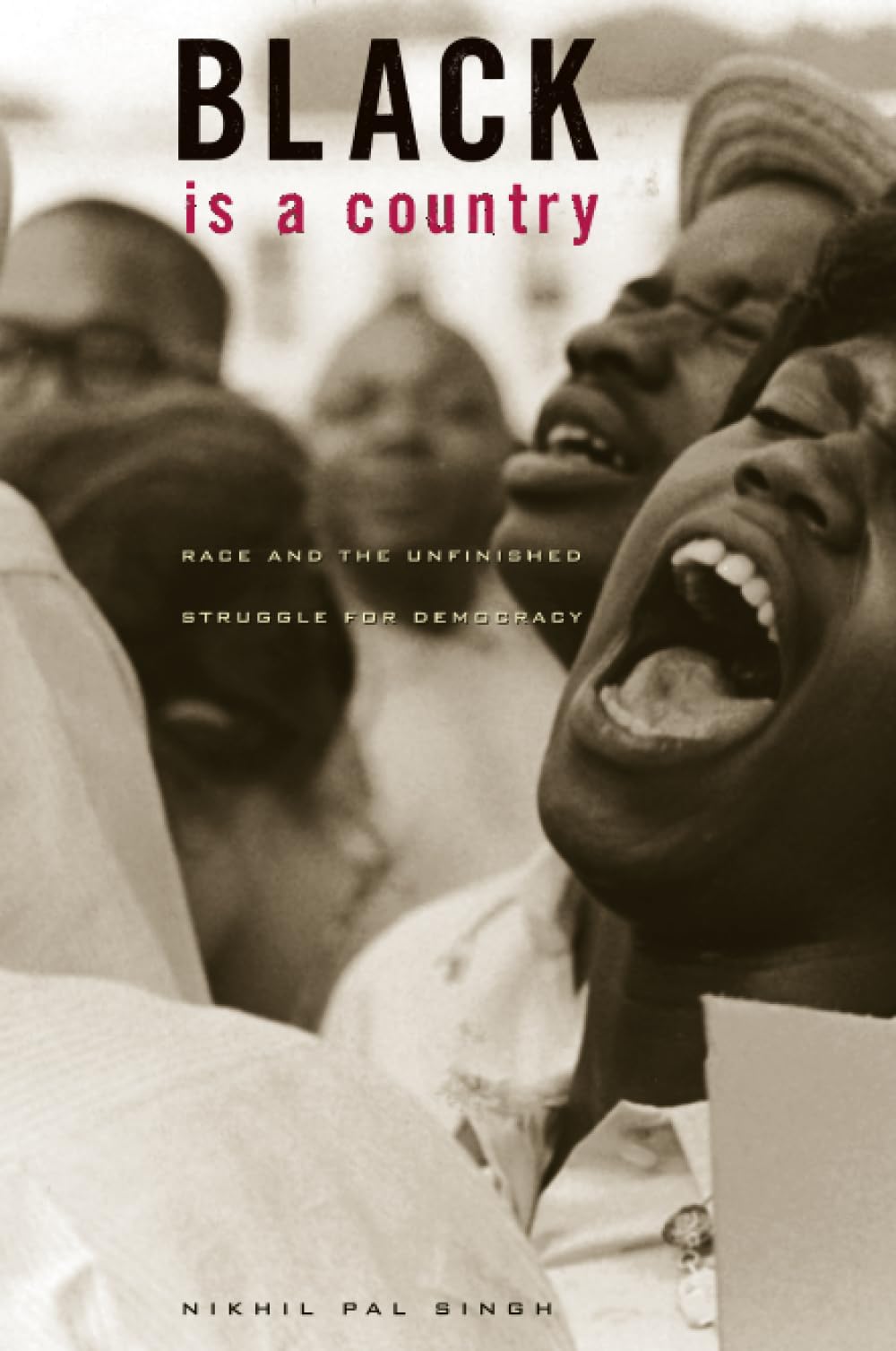 Black Is a Country: Race and the Unfinished Struggle for Democracy