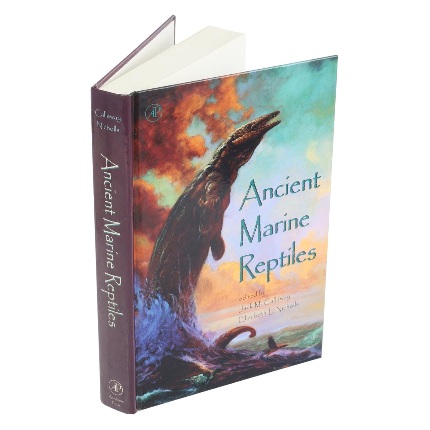 Ancient Marine Reptiles by Callaway, Jack M.