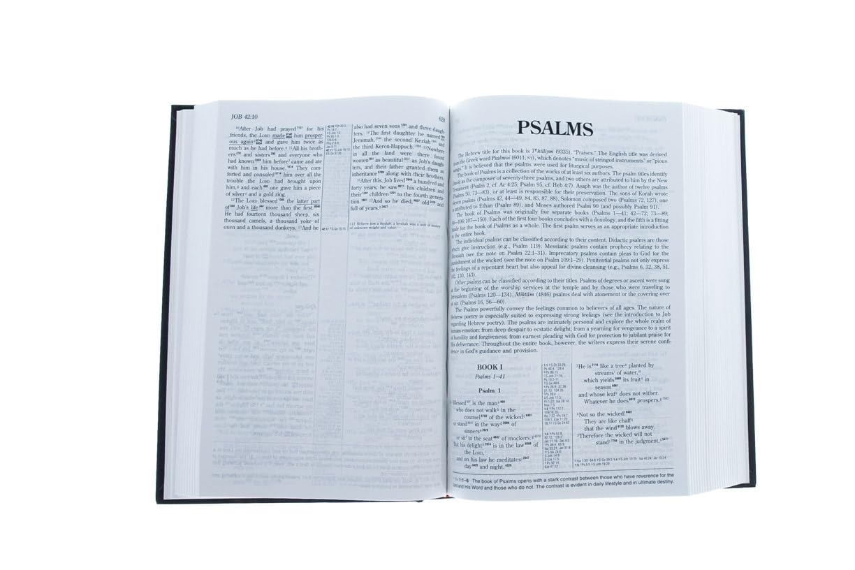 The Hebrew-Greek Key Study Bible NIV by Miakarts Books