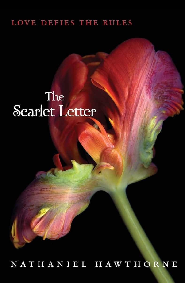 The Scarlet Letter (Teen Classics)