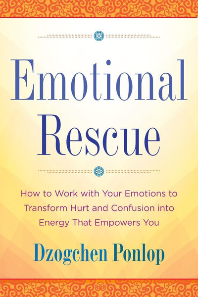 Emotional Rescue: How to Work with Your Emotions to Transfor