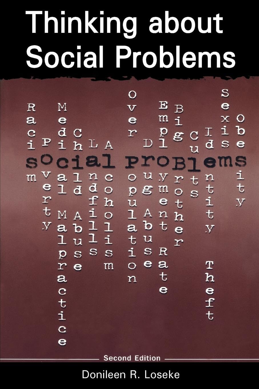 Thinking About Social Problems: An Introduction to Constructionist Perspectives (Social Problems & Social Issues)