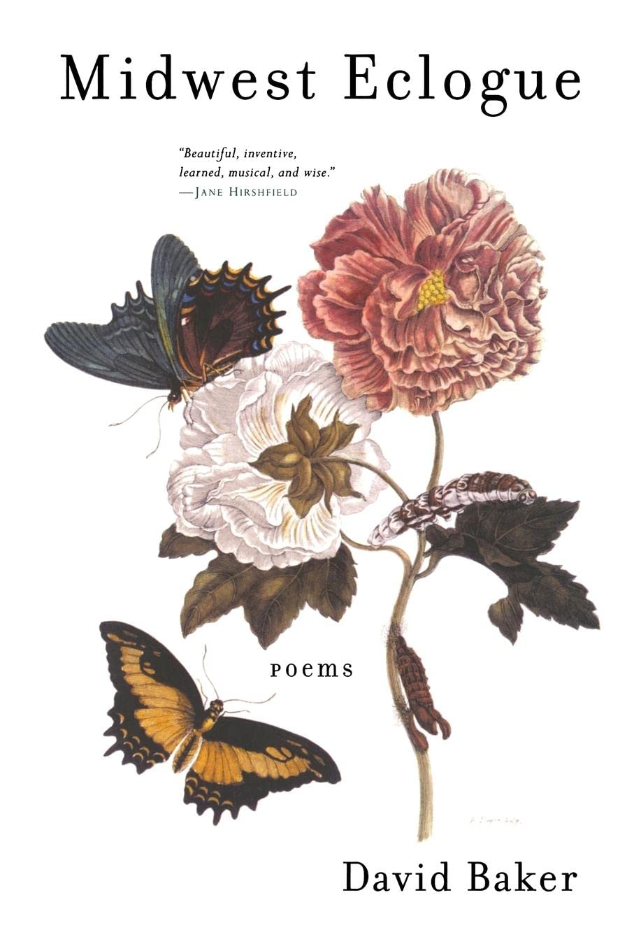 Midwest Eclogue: Poems