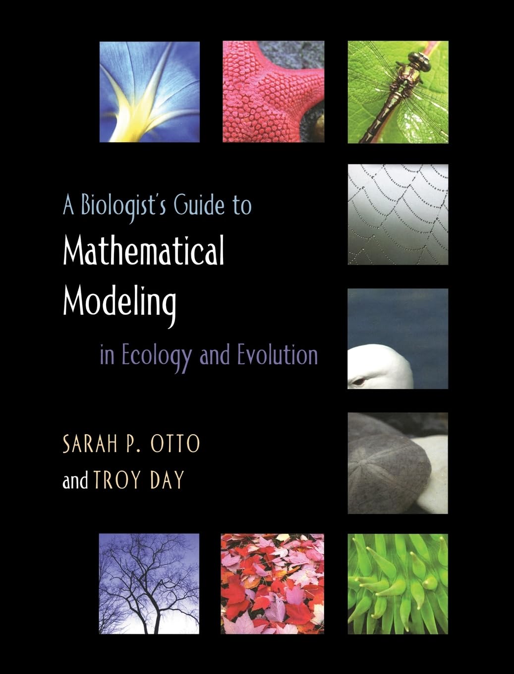 A Biologist's Guide to Mathematical Modeling in Ecology and Evolution