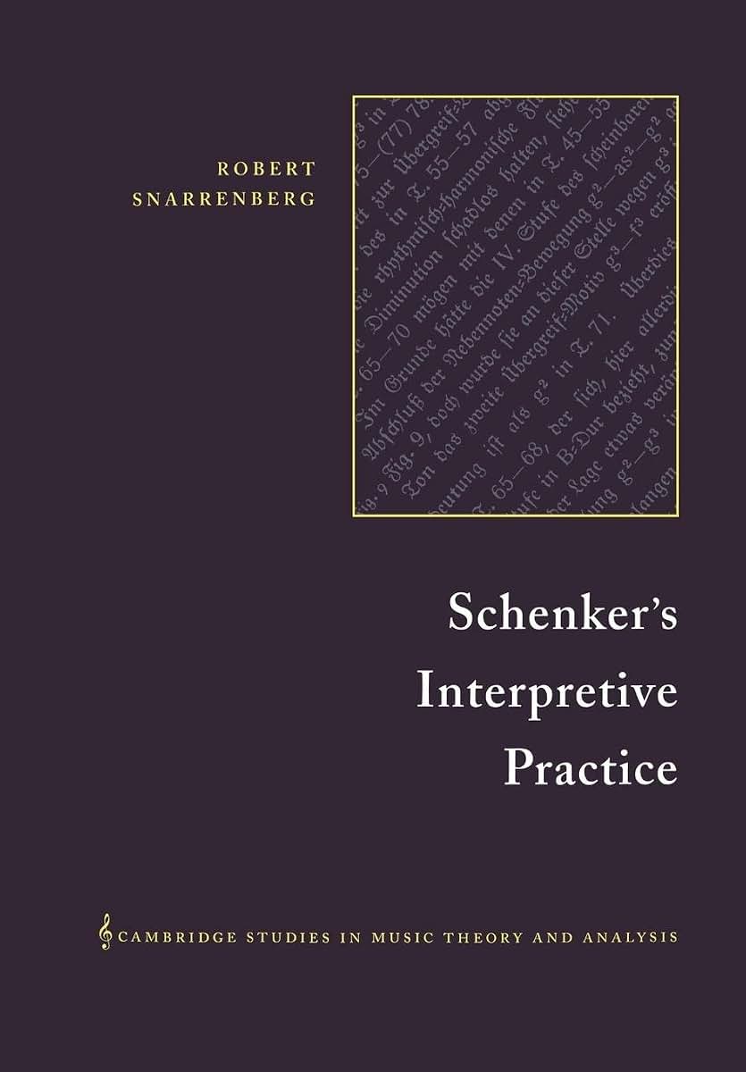 Schenker's Interpretive Practice (Cambridge Studies in Music Theory and Analysis, Series Number 11)
