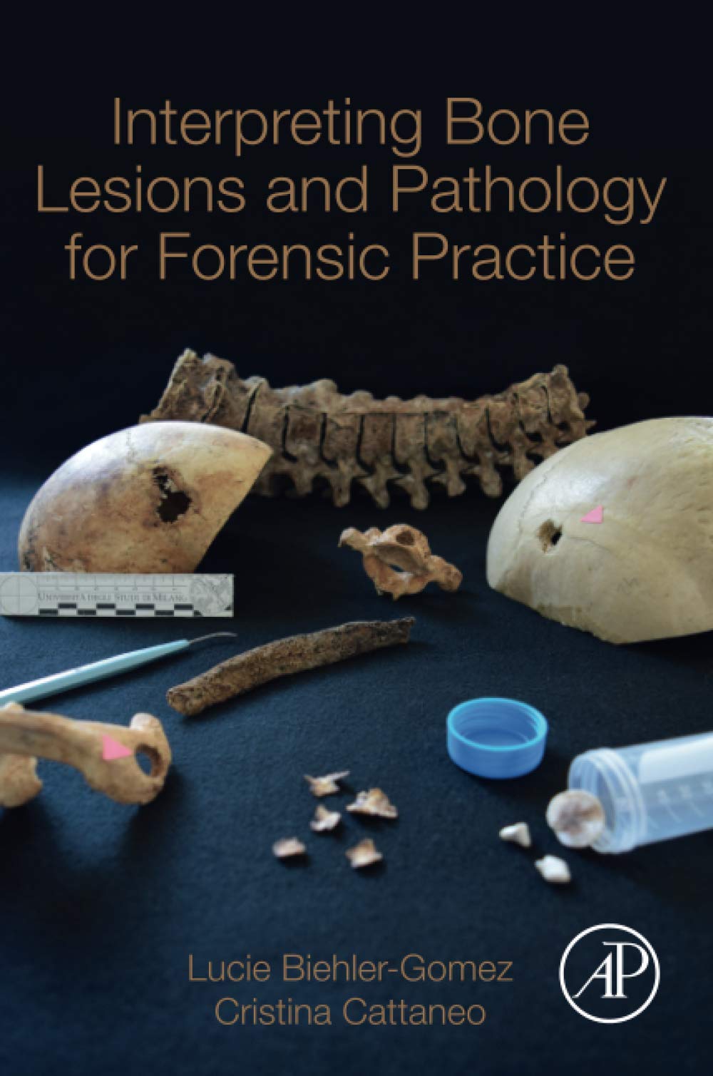 Interpreting Bone Lesions and Pathology for Forensic Practice
