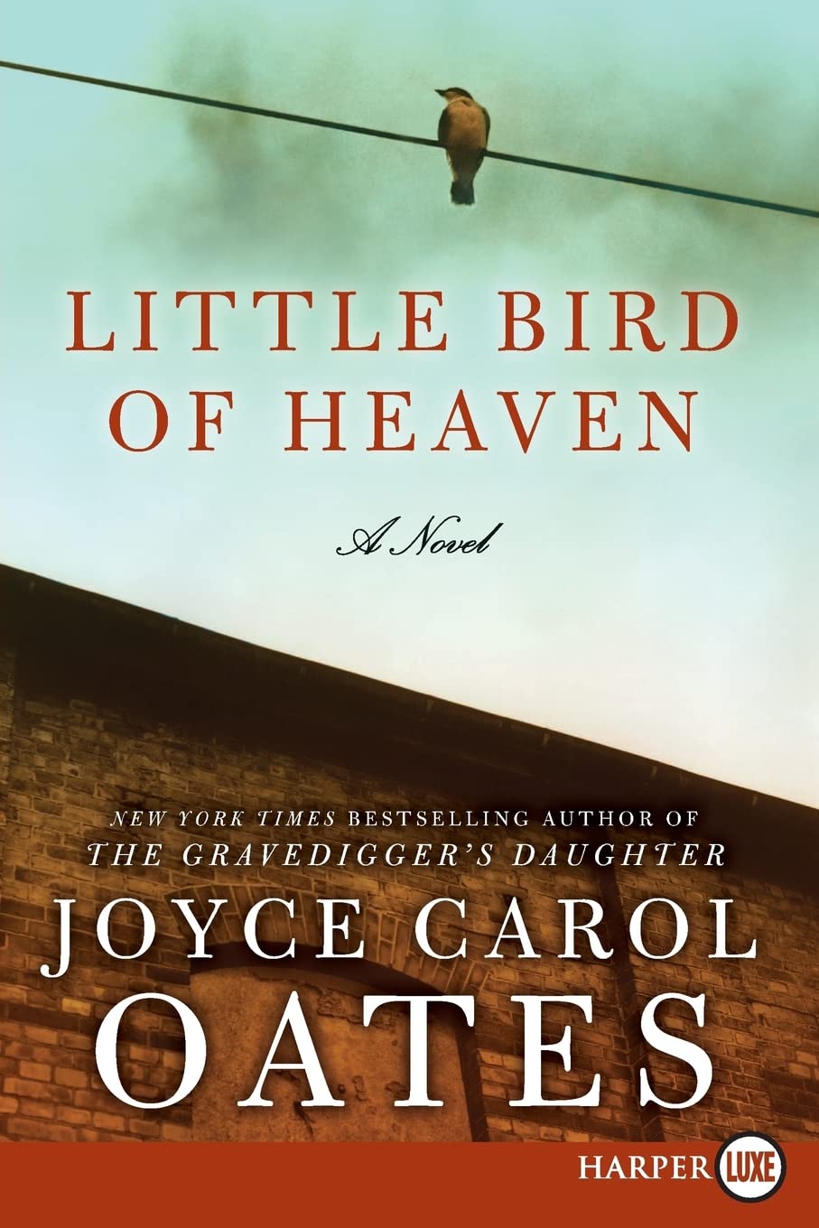 Little Bird of Heaven: A Novel