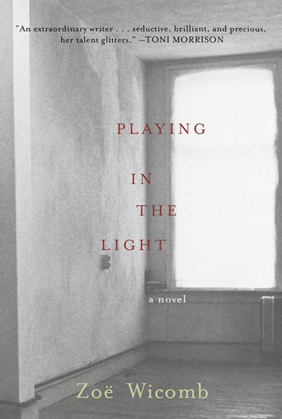 Playing in the Light: A Novel