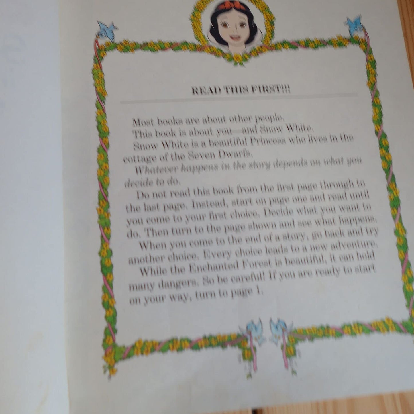 Snow White and the Enchanted Forest (Disney Choose Your Own Adventure, No 1)
