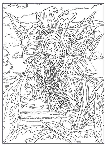 Creative Haven Birds Color by Number Coloring Book (Adult Coloring Books: Animals)