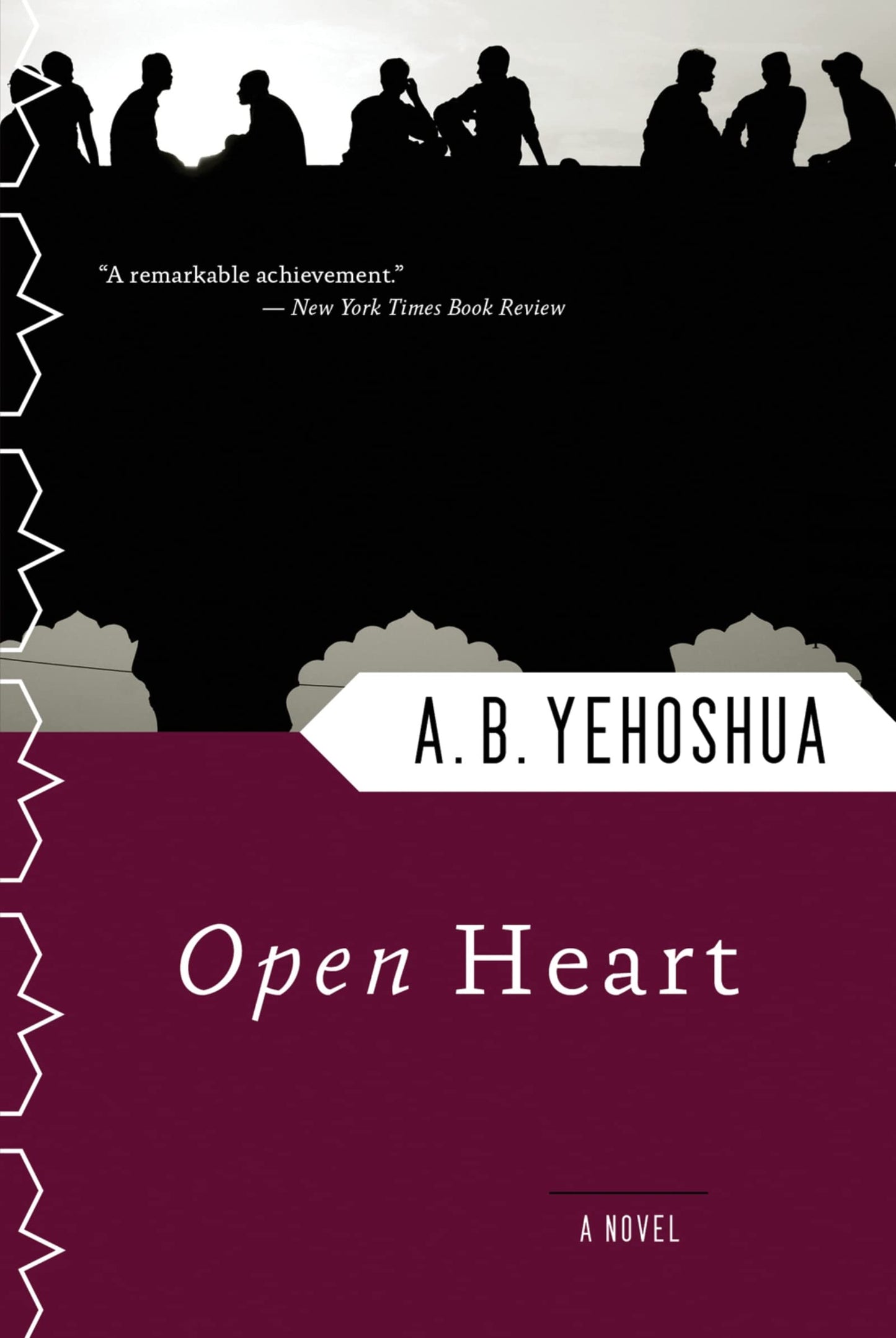 Open Heart (Harvest Book)