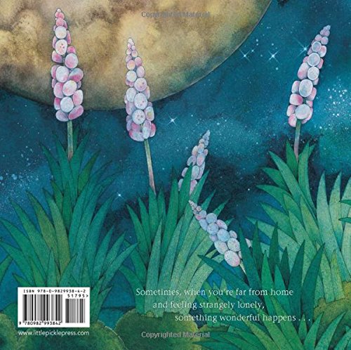 Snutt the Ift — back cover