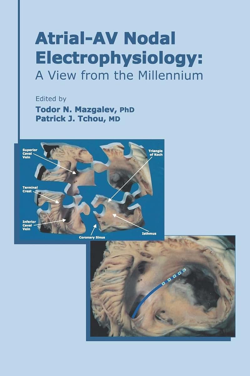 Atrial-AV Nodal Electrophysiology: A View from the Millennium