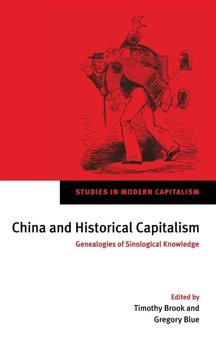 China and Historical Capitalism: Genealogies of Sinological Knowledge (Studies in Modern Capitalism)