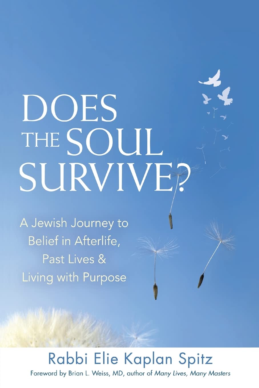 Does the Soul Survive? (2nd Edition): A Jewish Journey to Belief in Afterlife, Past Lives & Living with Purpose