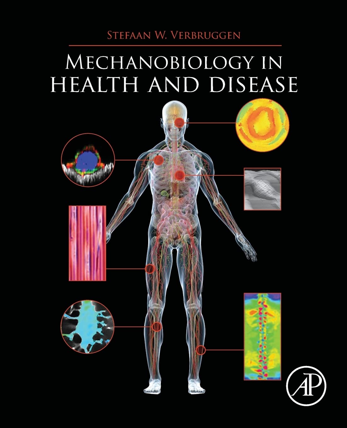 Mechanobiology in Health and Disease