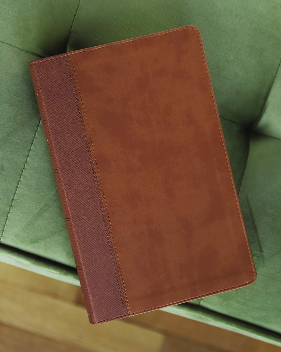 NIV Personal Size Bible Large Print Leathersoft Brown