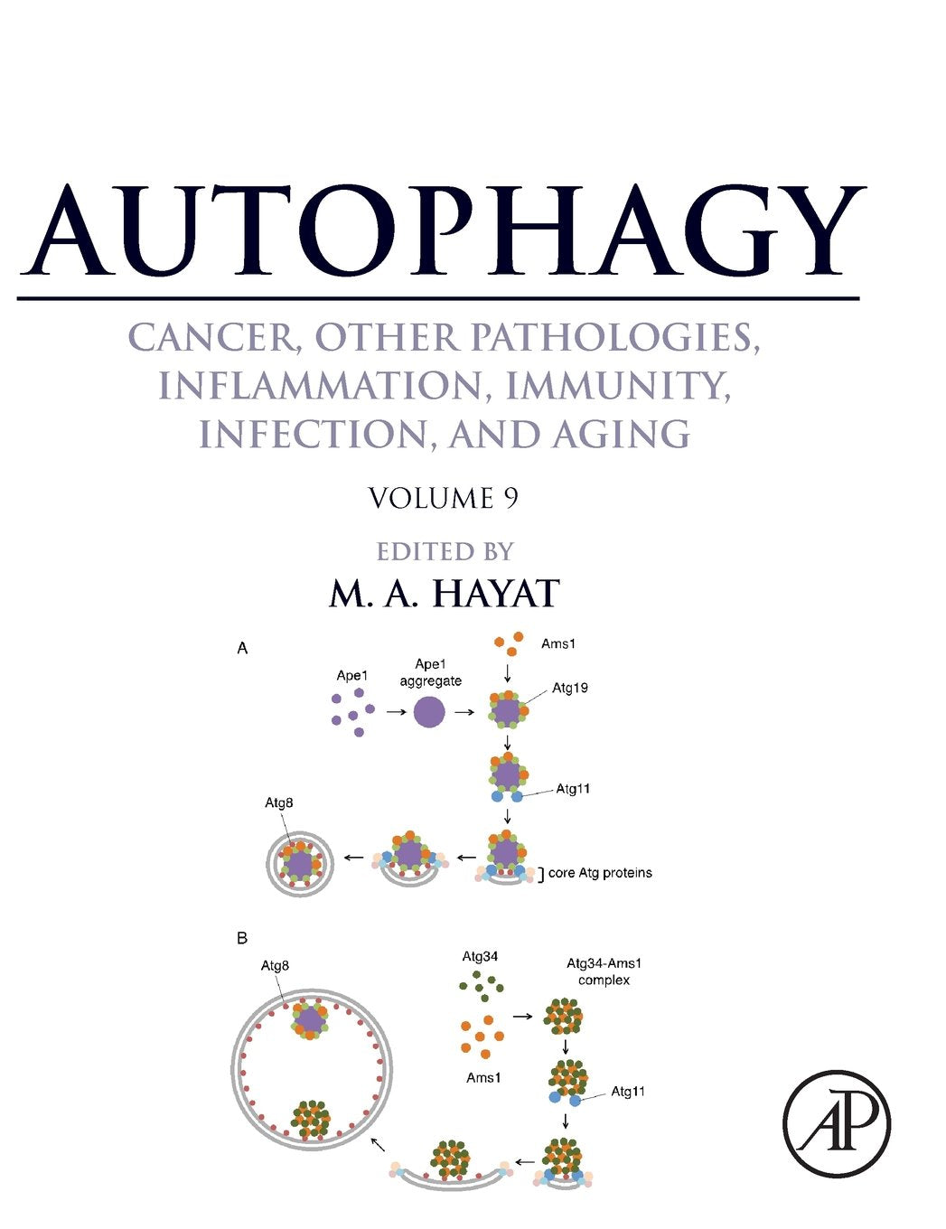 Autophagy: Cancer, Other Pathologies, Inflammation, Immunity, Infection, and Aging: Volume 9: Human Diseases and Autophagosome