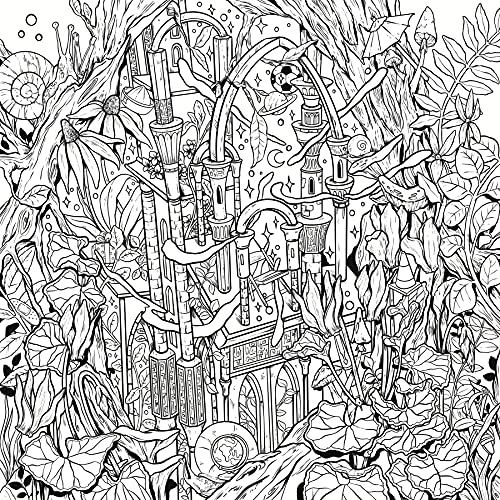 Mythographic Color and Discover: Dream Garden: An Artist's Coloring Book of Floral Fantasies