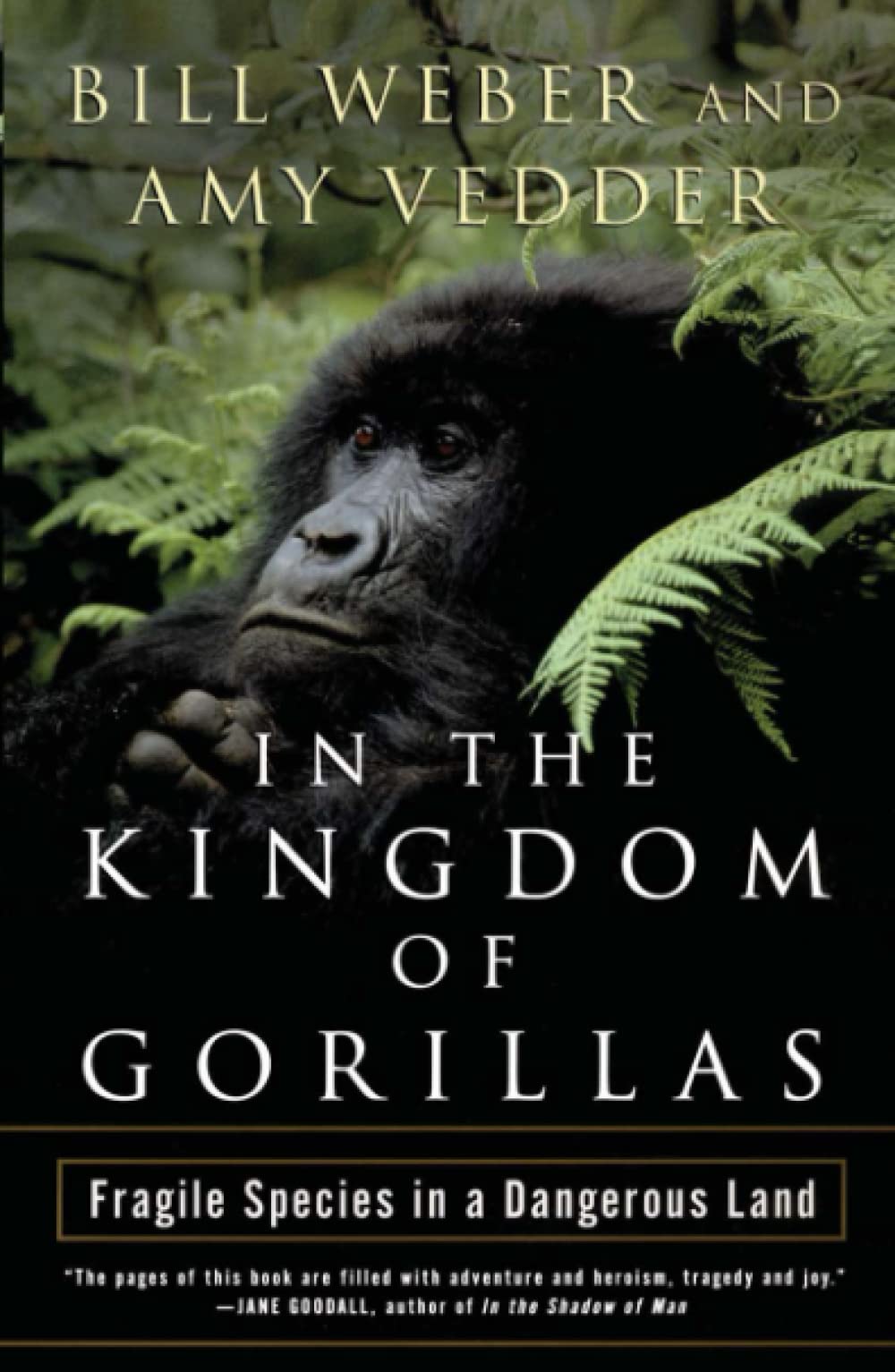 In the Kingdom of Gorillas: The Quest to Save Rwanda's Mountain Gorillas