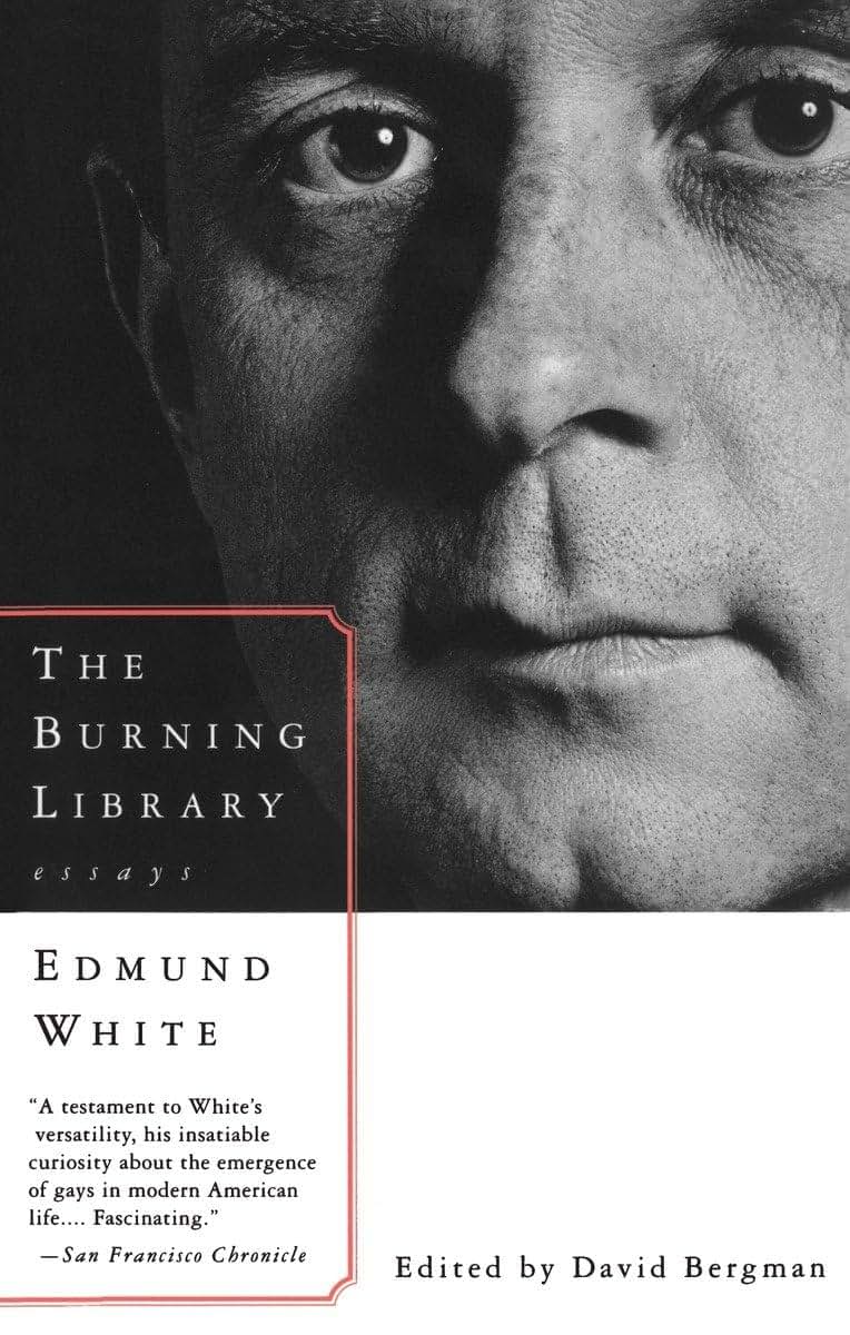 The Burning Library: Essays