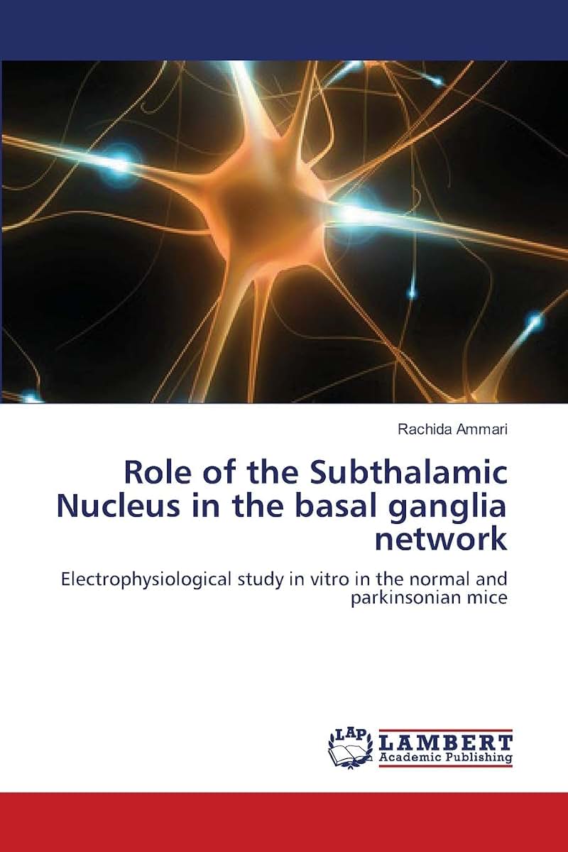 Role of the Subthalamic Nucleus in the basal ganglia network: Electrophysiological study in vitro in the normal and parkinsonian mice