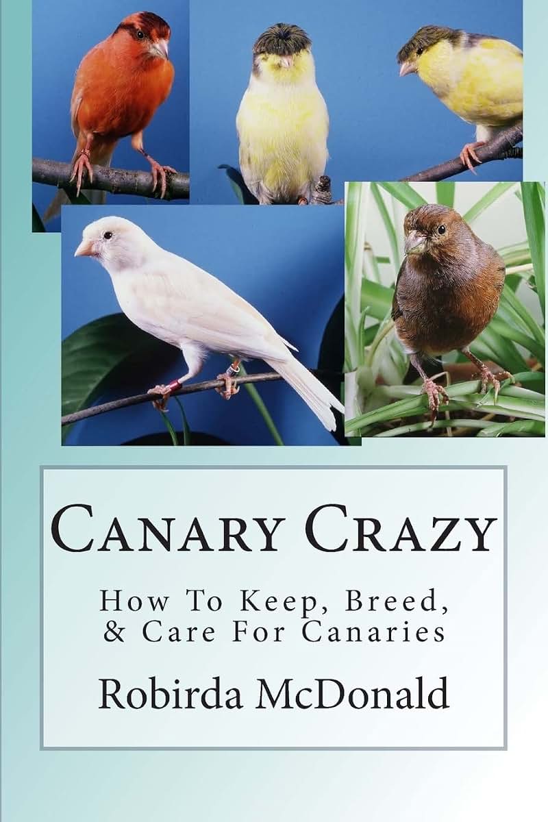 Canary Crazy: How To Keep, Breed, & Care For Canaries