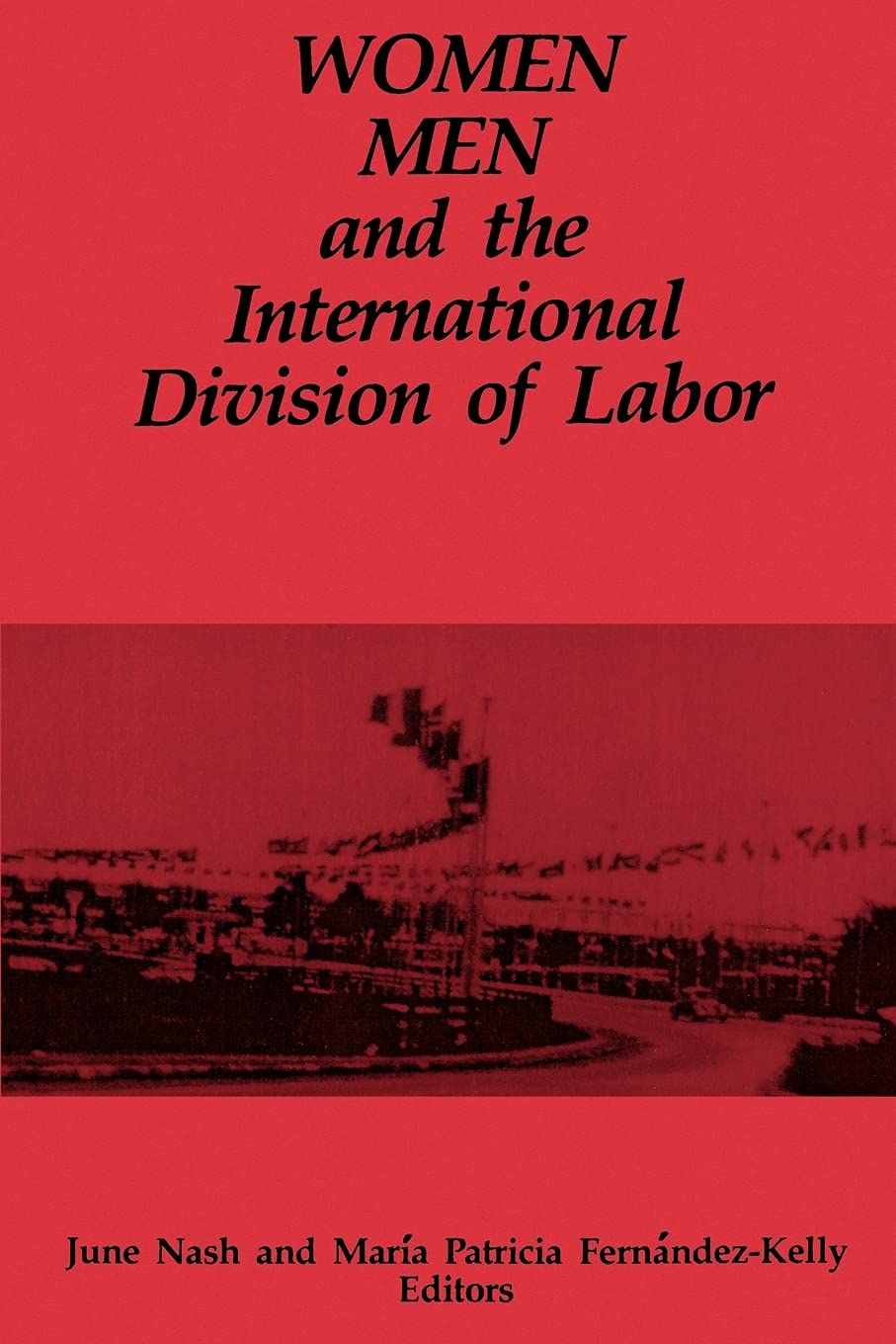 Women, Men, and the International Division of Labor (Suny the Anthropology of Work)