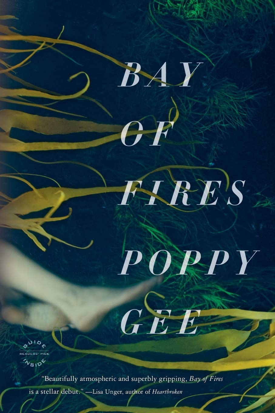 Bay of Fires: A Novel