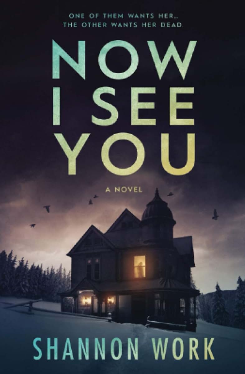 Now I See You (Mountain Resort Mystery series)
