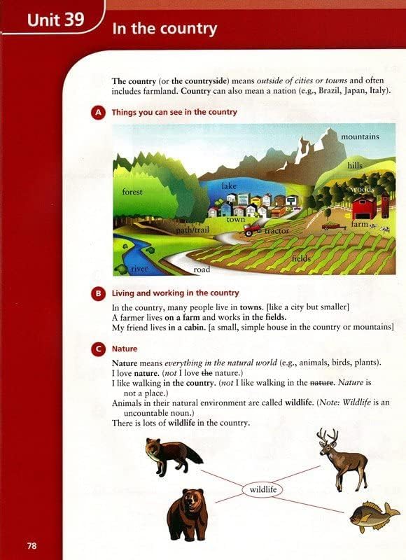 Basic Vocabulary in Use: 60 Units of Vocabulary Practice in North American English With Answers