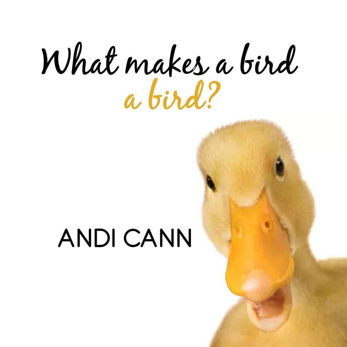 What Makes a Bird a Bird? (Animal Classes)